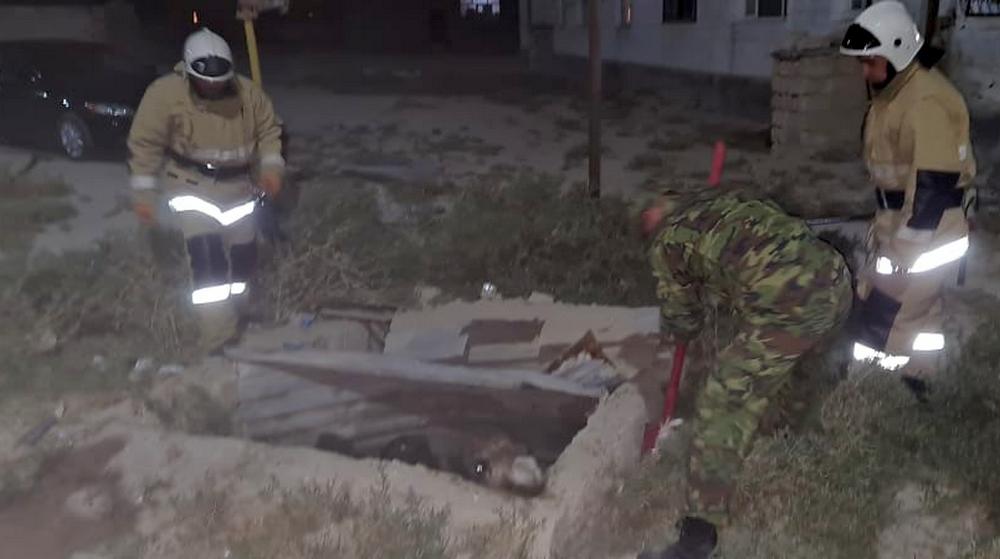 Спасатели вытащили верблюда из ямы в Мангистау