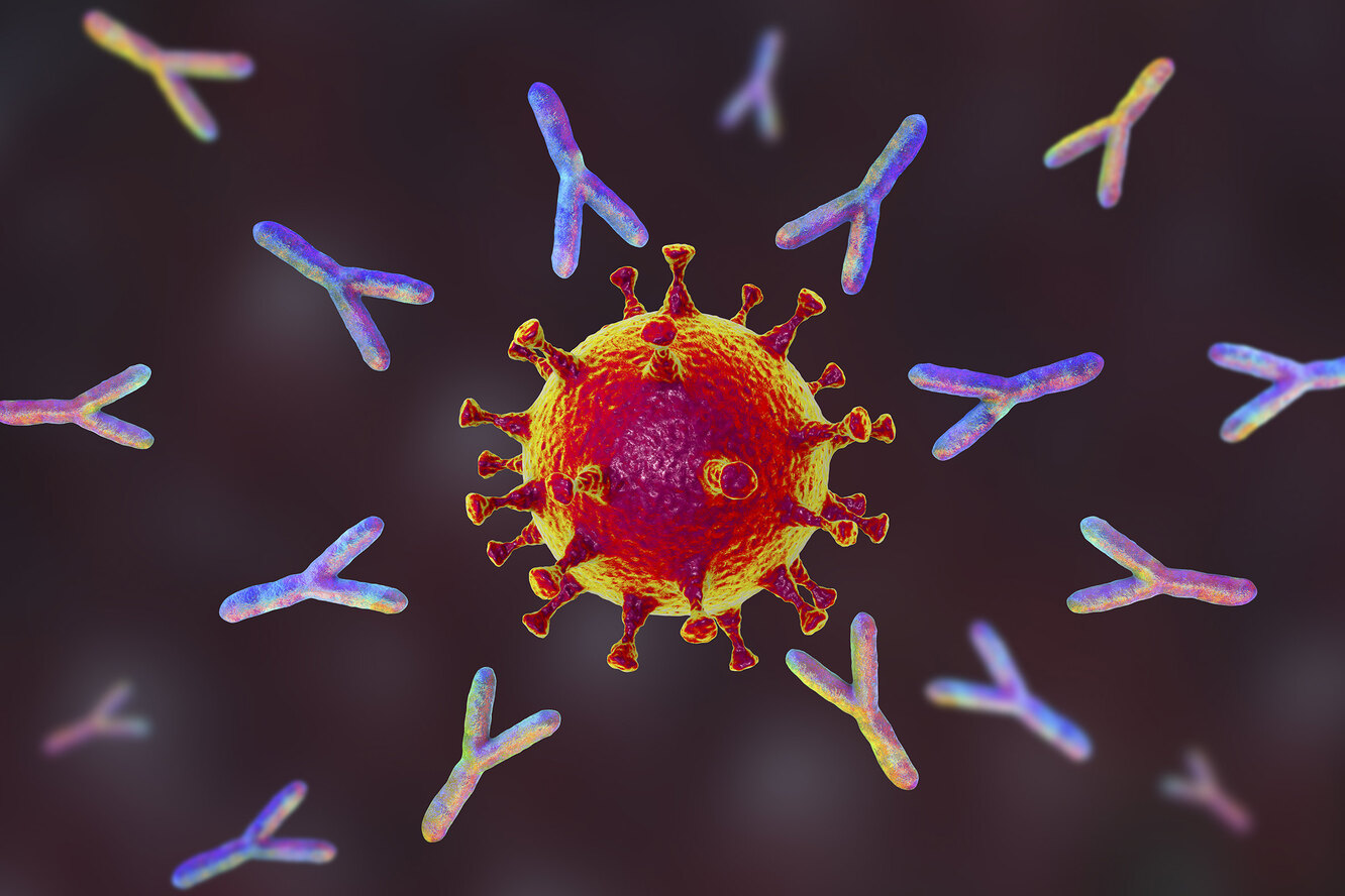Коронавирус антигеніне экспресс-тестілердің тиімділігі жоғары – Жандарбек Бекшин 