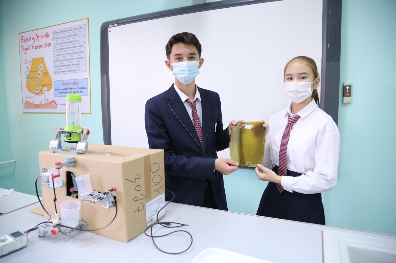 Ақтаулық оқушылар арамшөптен биопакет жасады