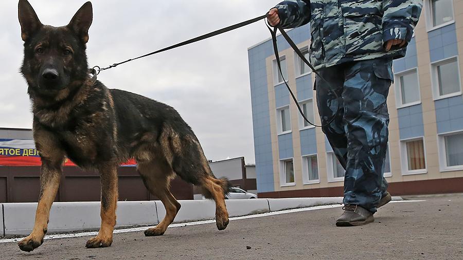 Алматыда белгісіз біреу 12 мектепке жарылғыш зат қойғанын хабарлады