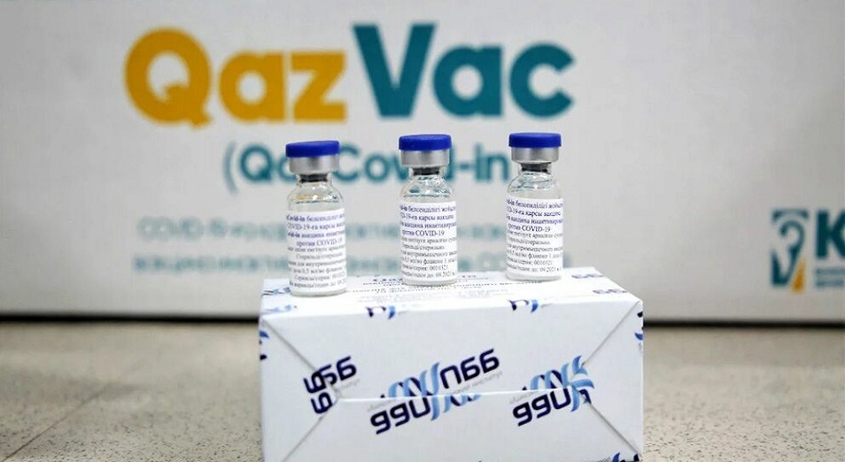 Отандық вакцина QazVac-қа қатысты тың мәліметтер белгілі болды