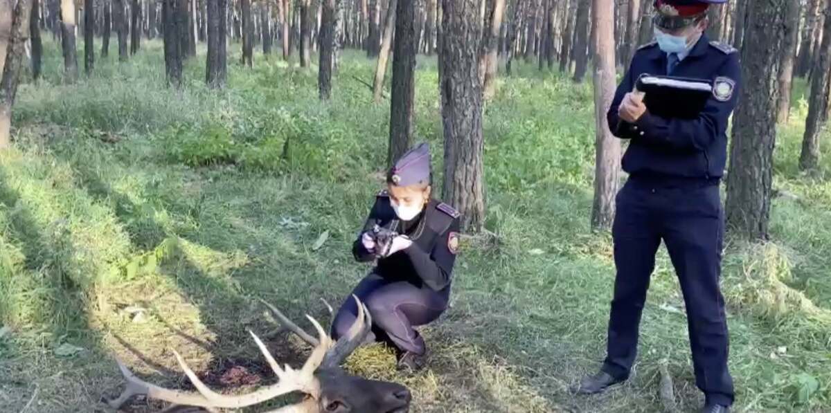 На севере Казахстана егерей задержали за браконьерство