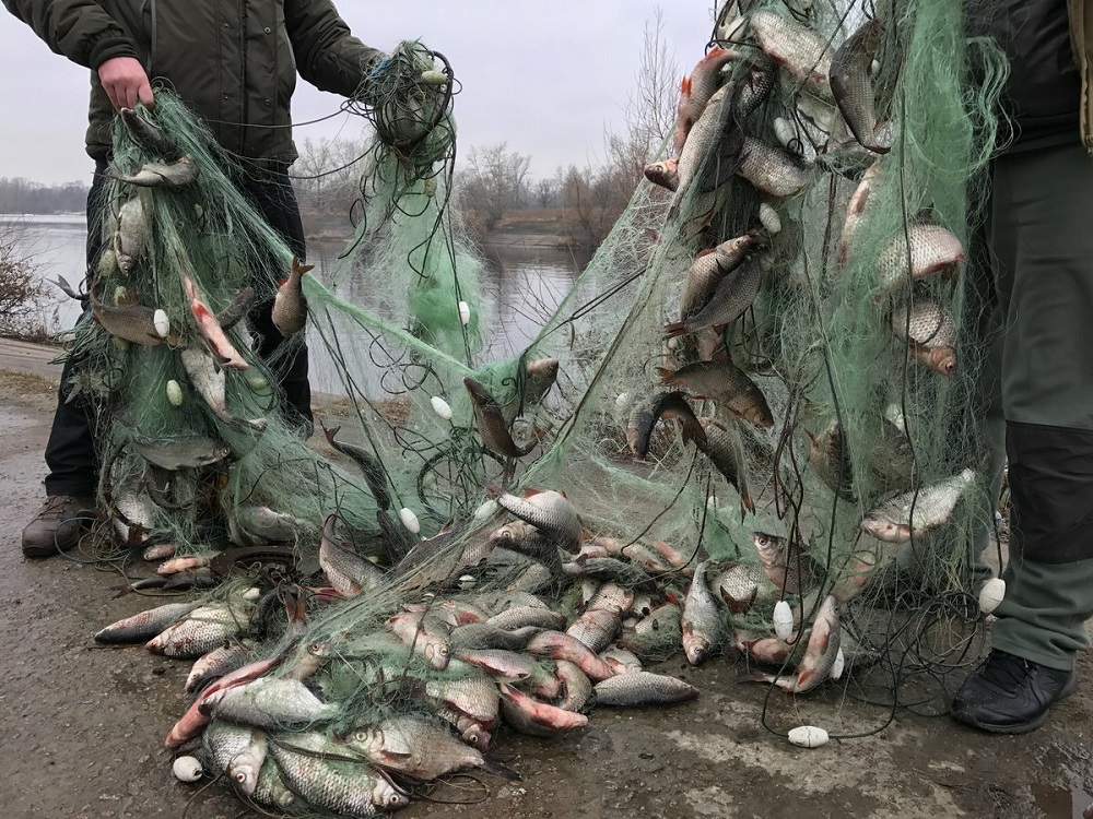 Браконьеры жестоко избили егерей на Шардаринском водохранилище