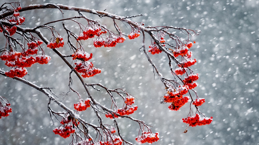 Прогноз погоды на 4 ноября: на юге Казахстана ожидается снег