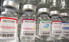 Оценена опасность вакцин против коронавируса Pfizer и Moderna