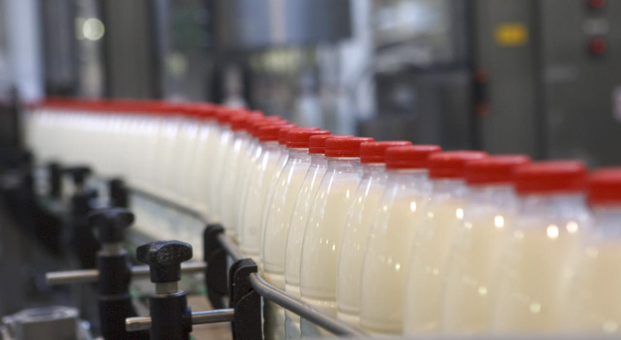 В Казахстане маркировку молочной продукции признали нецелесообразной 