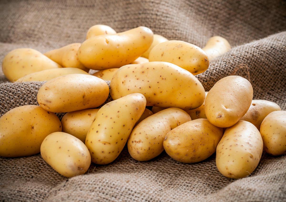 Вывоз картофеля из Казахстана сократился более чем в два раза