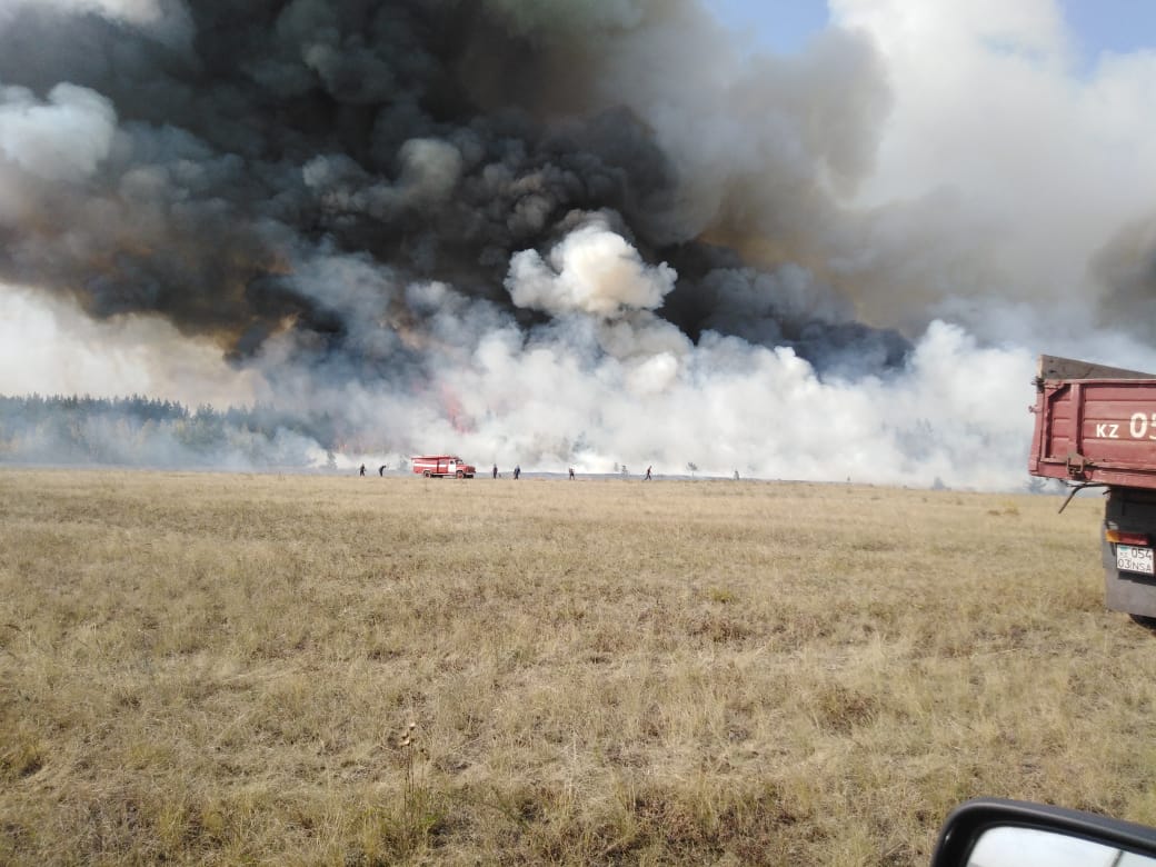 Крупный лесной пожар тушили около Кокшетау