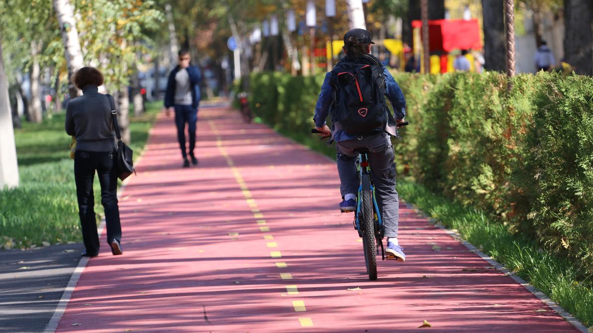Еще больше велодорожек появится в Алматы