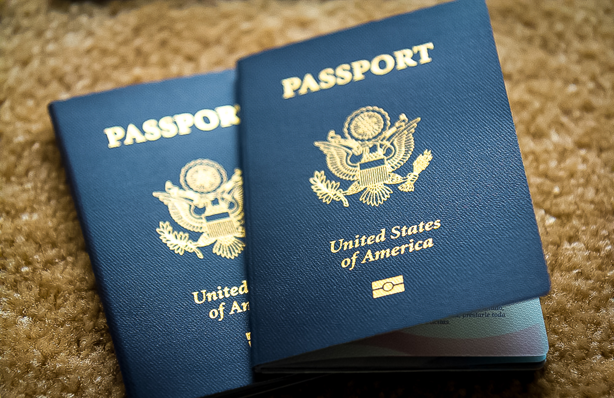 Пол X. Особенные паспорта начали выдавать в США