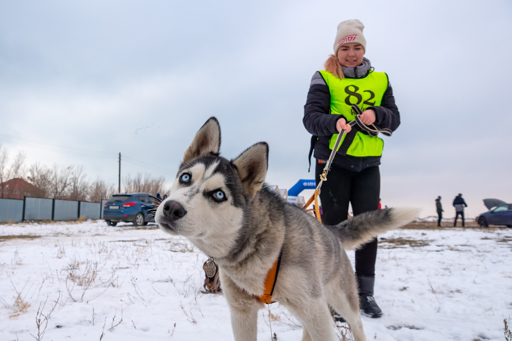 По дорогам заснеженных пляжей
