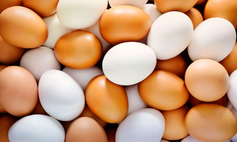 Женщину, закидавшую врачей яйцами, оштрафовали на 14,5 тыс. тенге
