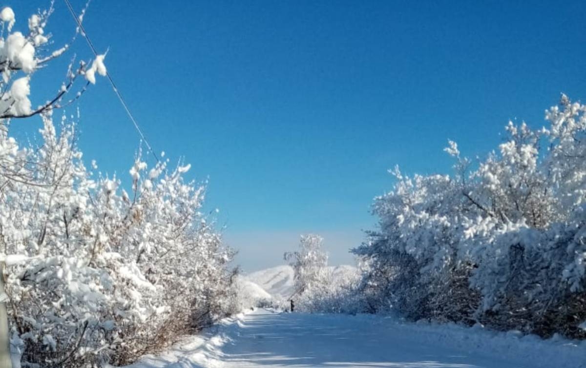 Какой будет погода в Казахстане в понедельник