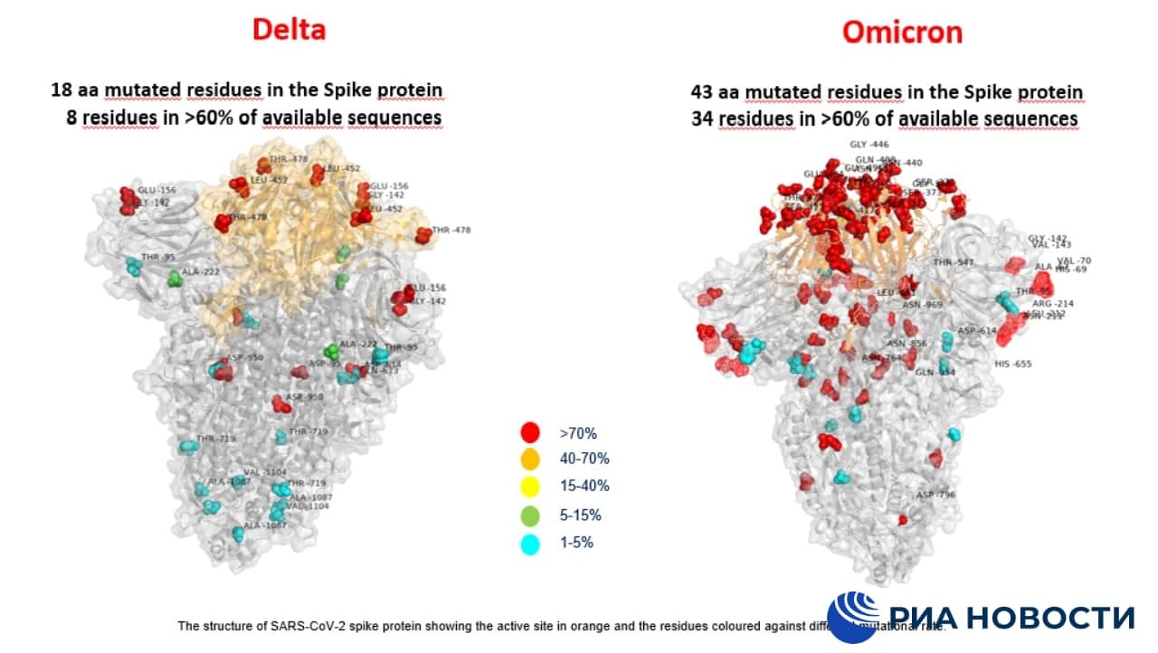 Первое изображение омикрон-штамма появилось в СМИ 